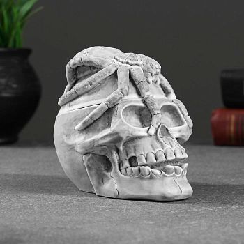 Шкатулка "Череп с пауком"