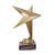 Кубок звезда "Золотой руководитель" 11,5 х 9,5 см Кубок звезда "Золотой руководитель" 11,5 х 9,5 см