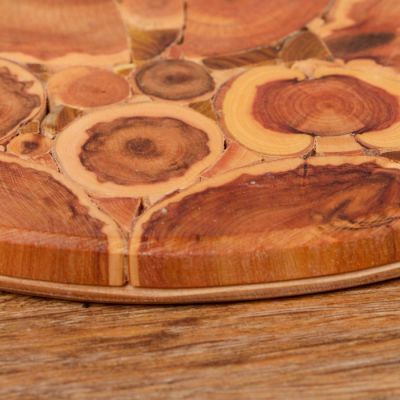 Подставка под горячее «Дары природы», D=20 см, микс, можжевельник