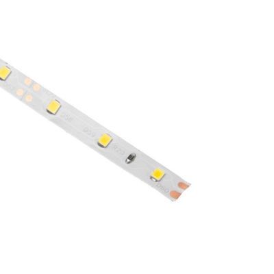 Светодиодная лента Ecola PRO 5 м, IP20, SMD3528, 60 LED/м, 4.8 Вт/м, 12 В, 2800К