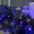 Гирлянда «Нить» 10 м, IP44, УМС, тёмная нить, 100 LED, свечение синее, мерцание белым, 220 В Гирлянда «Нить» 10 м, IP44, УМС, тёмная нить, 100 LED, свечение синее, мерцание белым, 220 В