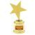 Статуэтка - звезда "Мастер золотые руки" (17 х 9 см) Статуэтка - звезда "Мастер золотые руки" (17 х 9 см)