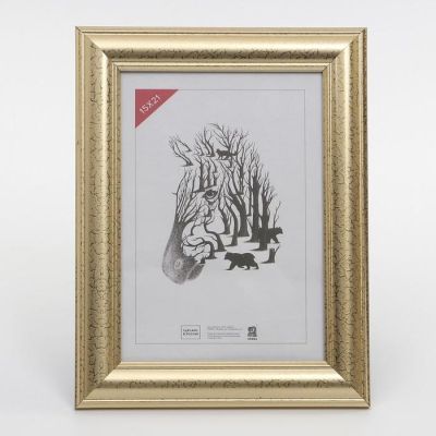 Фоторамка 15х21 см (609) пластик