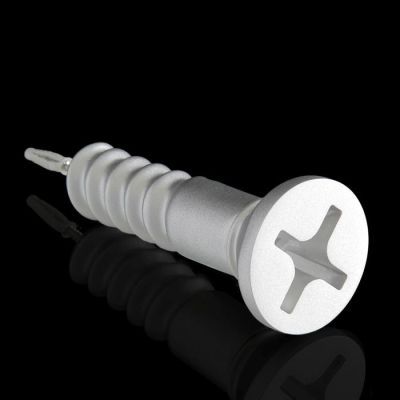 Держатель для туалетной бумаги "Шуруп", цвет хром