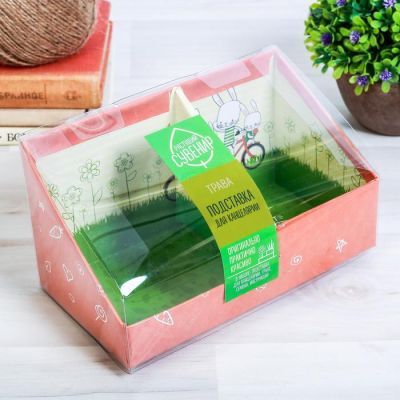 Органайзер канцелярский - растущий сувенир «Всё получится» 10.5х10 см