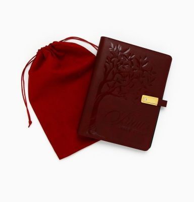 Родословная книга со встроенной флешкой на 16 Gb «Книга всей семьи», (18 х 23 см) + красный мешочек