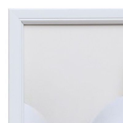 Картина модульная "Белая орхидея" 29*49 - 1шт., 20*40 - 2шт., 50х70 см