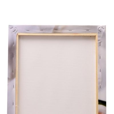 Картина модульная на подрамнике  "Орхидея" 1-40*50, 2-30*75, 1-42*56;   145х80