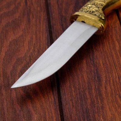 Сувенирный нож, рукоять под золото, расписная объемная, на ножнах пес, 5х30 см