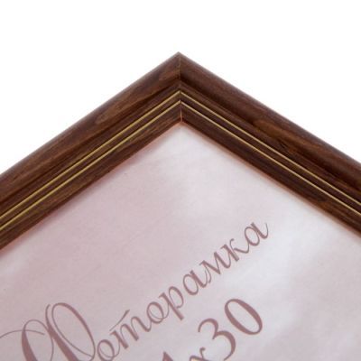 Фоторамка 21х30 см "Сосна"