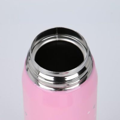 Термос "Мастер К. Совушки", 450 мл, сохраняет тепло 10 ч, 7 х 24.5 см, микс