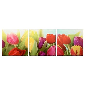 Модульная картина "Тюльпаны" (3-35х35) 35х105 см