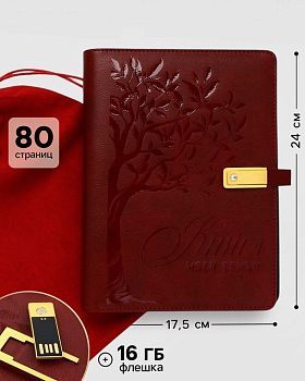 Родословная книга со встроенной флешкой на 16 Gb «Книга всей семьи», (18 х 23 см) + красный мешочек