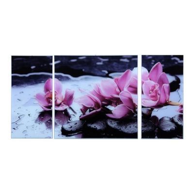Картина модульная на стекле "Орхидеи" 2-25*50, 1-50*50 см, 100*50см