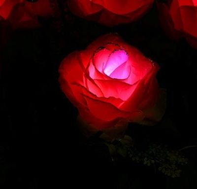 Светодиодная ваза "Розы" (64 × 16 см. зеленый)