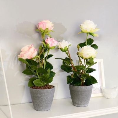 Композиция в горшочке "Розы" 10х32 см, микс